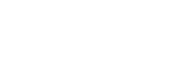 The Global Startup Office (GSO) logo